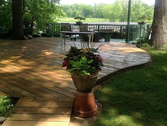 Main House back yard