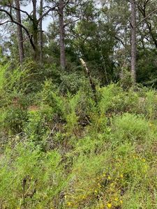 6364 E Seneca St #4, Inverness, FL, 34452