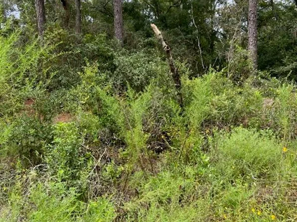 6364 E Seneca St #4, Inverness, FL 34452