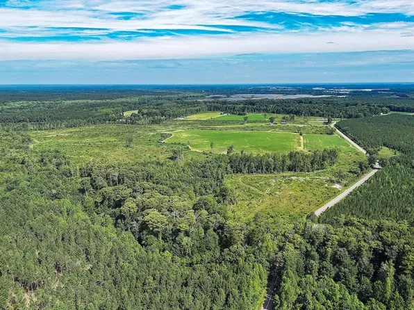 Off Of Hollybush Rd, Dendron, VA 23839