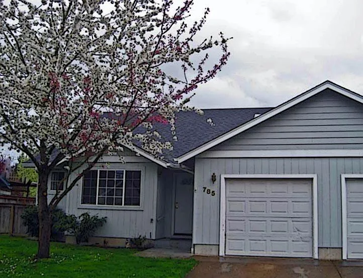 785 Red Cedar Ct photo 1
