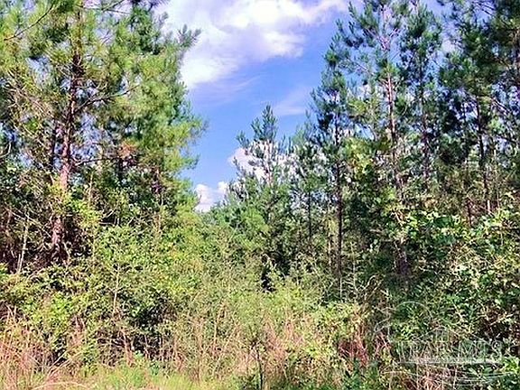 4th image of LOT 35 Molino Bridge Rd