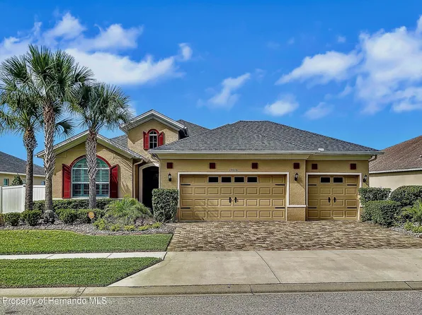 19018 Falcon Crest Blvd, Land O Lakes, FL 34638