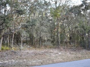 347 N Fresno Ave, Hernando, FL 34442