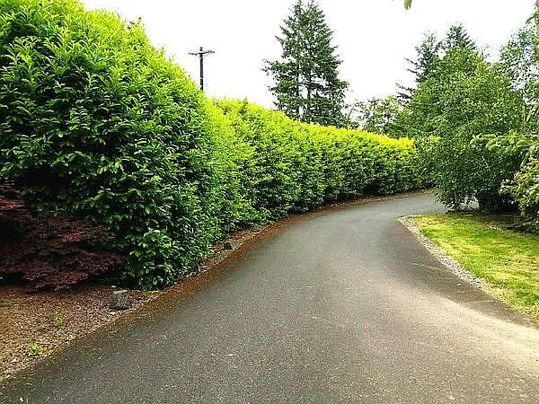 Nw Thompson Road , Portland — Photo 3