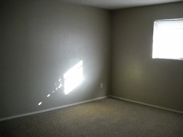 925 Minter Ln — Photo 8