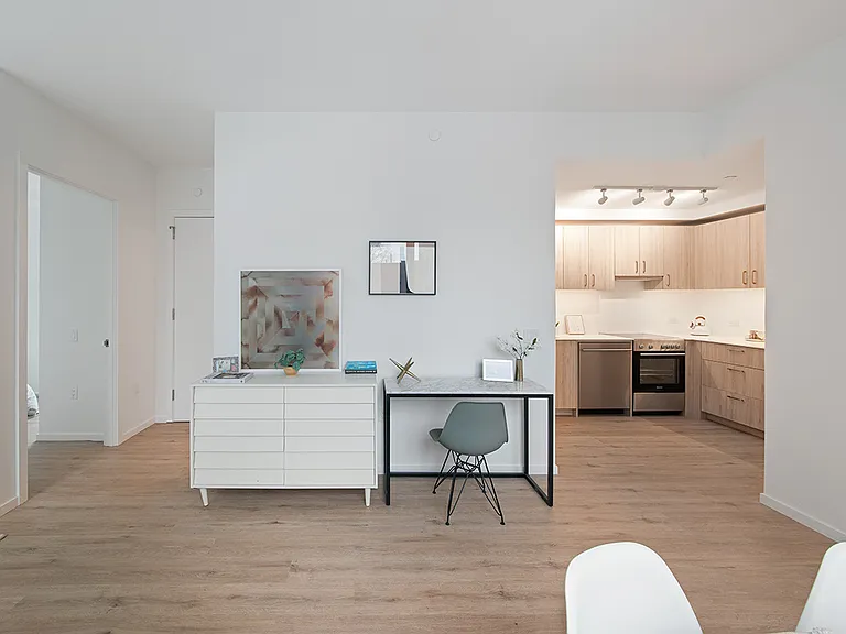 12 Halsey St #Penthouse 201 — Photo 7