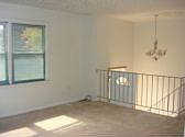 3rd image of 300 Shelton Dr