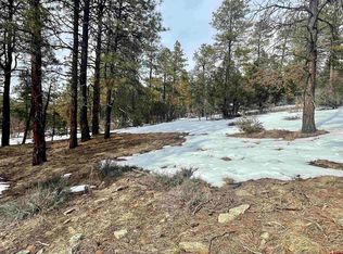 1259 Westview Rd, Pagosa Springs, CO 81147