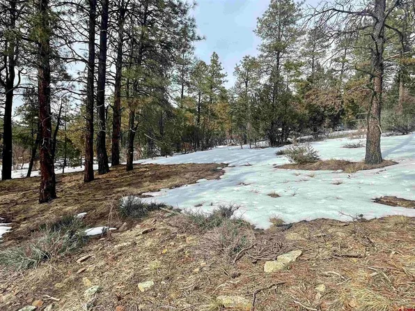 1259 Westview Road, Pagosa Springs, CO 81147