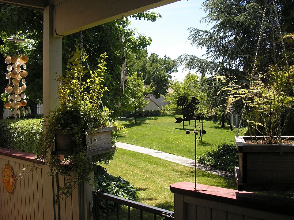 Patio looking Out