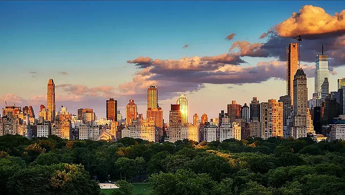 Rented by Vector New York, LLC | media 11