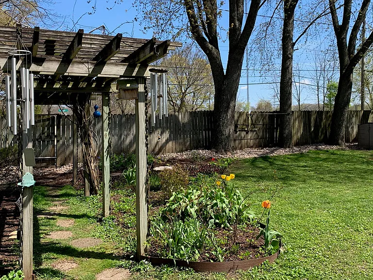 Partial backyard