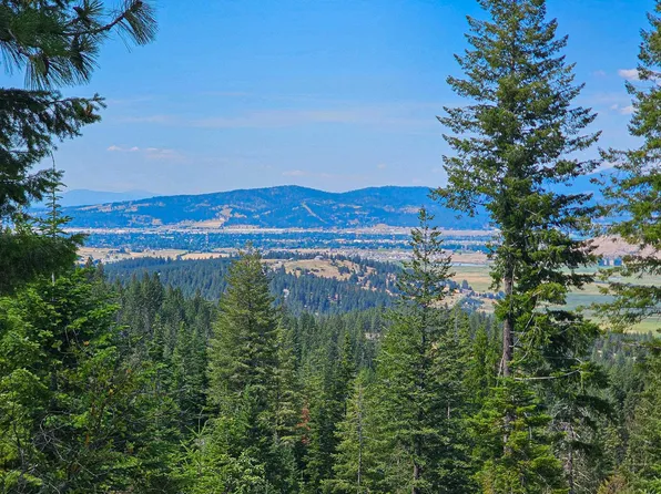 Nka E Belmont Rd Parcel B, Mica, WA 99023