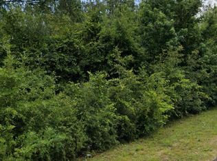 Holley Timber Rd, Cottondale, FL 32431