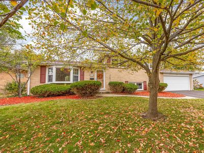 212 55th Pl, Downers Grove, IL, 60516