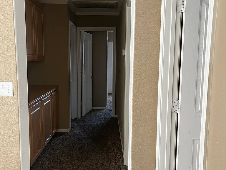 9923 Vermillion Cliffs Ave — Photo 9
