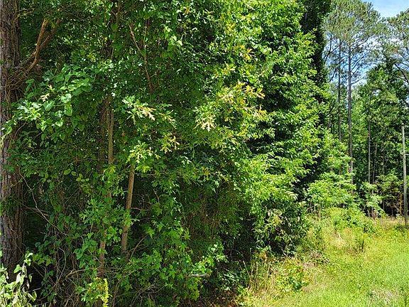 5th image of 0 Spring Hill Dr