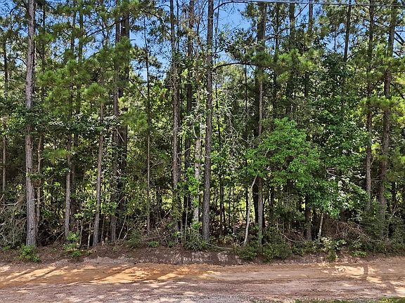 2nd image of 325 Natchez Rd