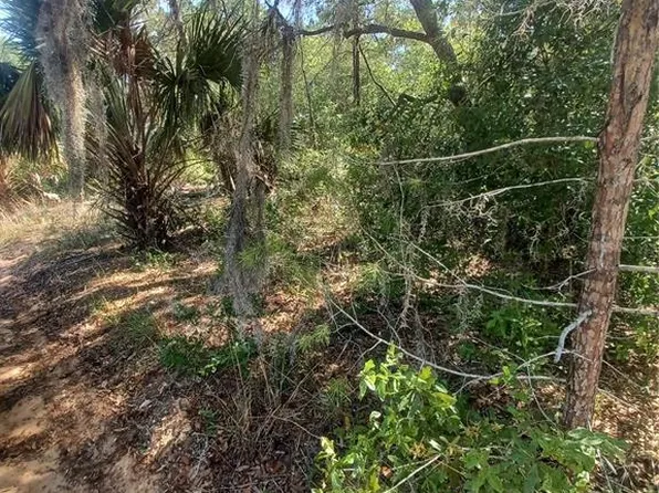 108 RABBIT TRACK ROAD LOT 5, SATSUMA, FL 32189