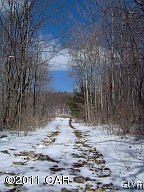 2nd image of Hemlock Dr