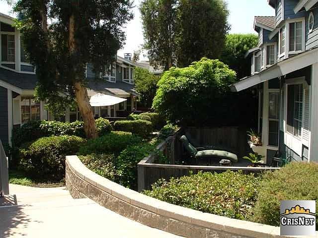 Yard Landscape