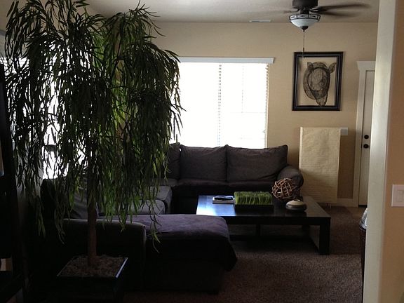 3rd image of 74 E Saddle Villa Dr