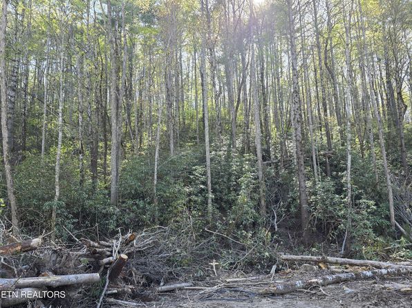 Pleasant Grove Rd, Vonore, TN 37885