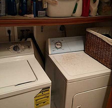 2nd image of 4245 SW 11th St #4245