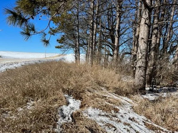 0 216th St, Bellevue, IA 52031