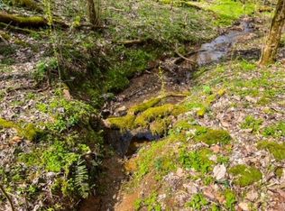 Baysinger Rd, Parrottsville, TN 37843