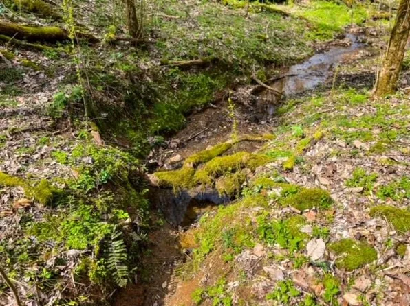 Baysinger Rd, Parrottsville, TN 37843