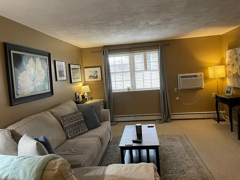 276 Albion St #2 — Photo 8