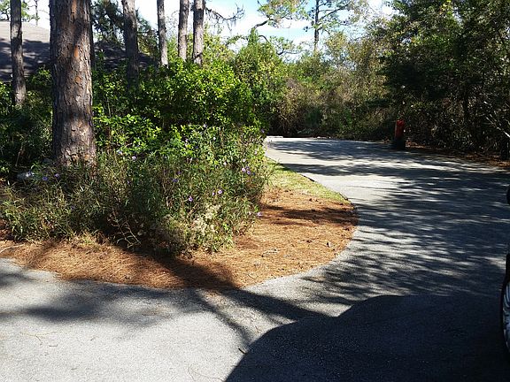 2nd image of 3890 Pinetop Blvd