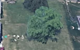 2nd image of N White Ave