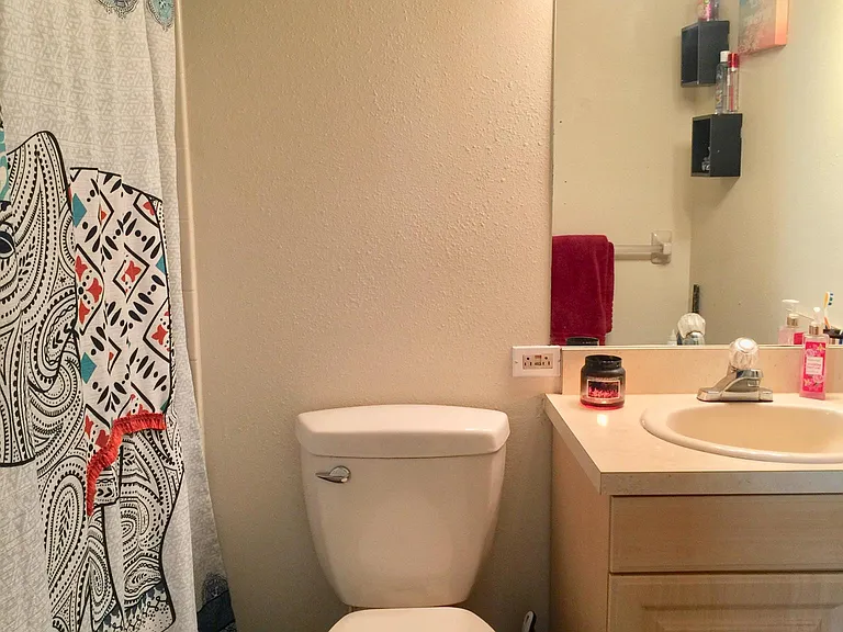 4516 Elmcrest Ct — Photo 10