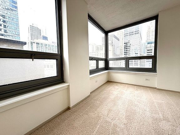 5th image of 440 N Wabash Ave APT 1008