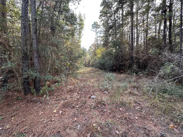 186 Rosanky, Leggett, TX 77351