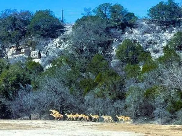 3660 South St, Junction, TX 76849