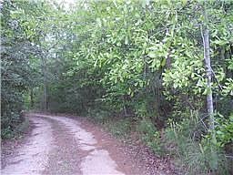 3rd image of 7310 Burr Oak Trce