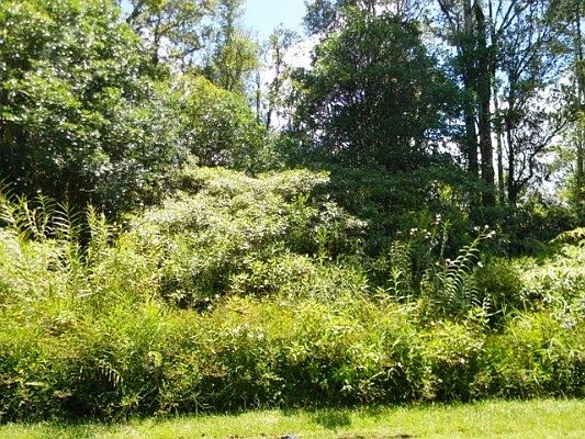 5th image of Sugarcane Ln Lot 62