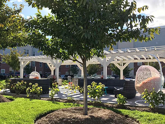 A defined outdoor spot for comfort and connection.
