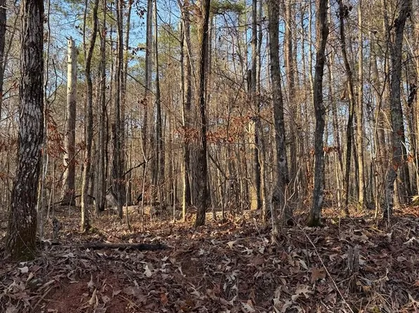 47 Horseshoe Dr, Sparta, GA 31087