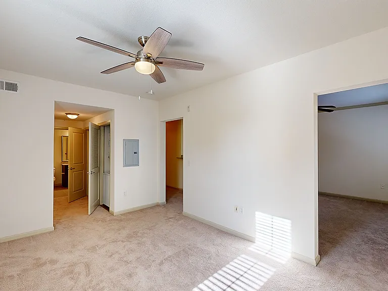 Spacious apartment bedroom with large closet, attached bathroom and plush carpet flooring.