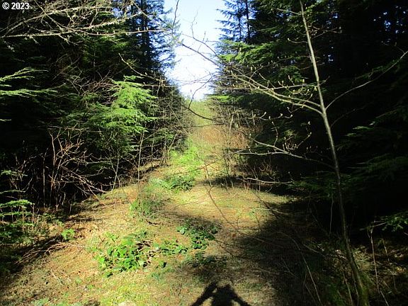4th image of 0 SE Harvey Rd