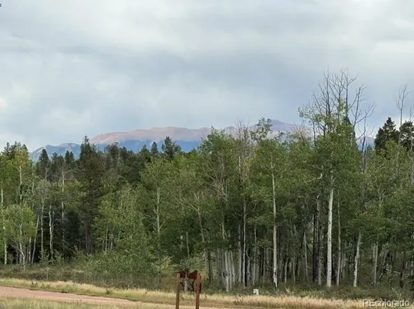 455 Aspen Way Drive, Florissant, CO 80816