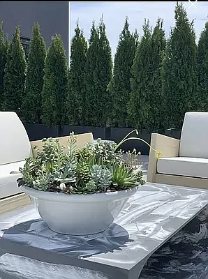 Rented by Abode Residential LLC | media 21