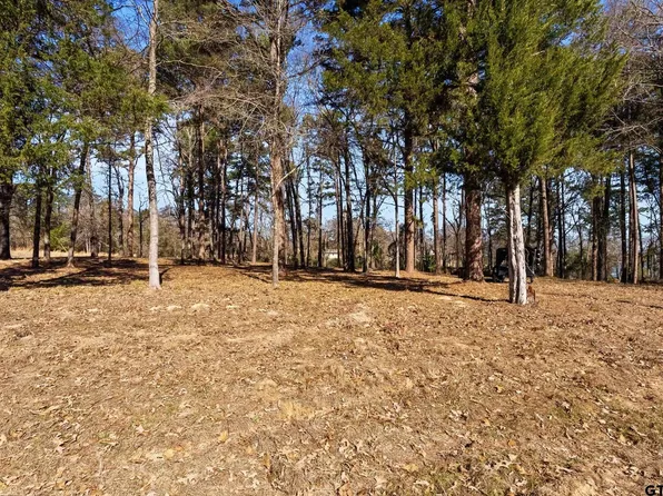 Wilson Rd Lot 41, Tyler, TX 75707