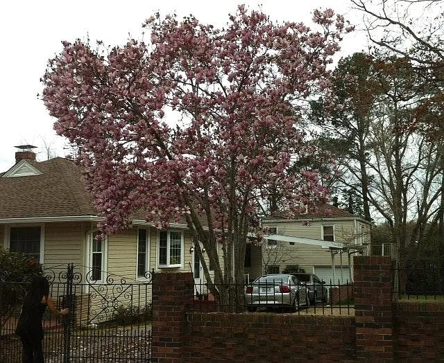 2314 Stark St — Photo 19