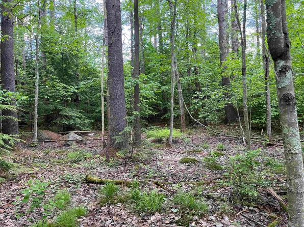 Lot 39 Concord Street, Antrim, NH 03440